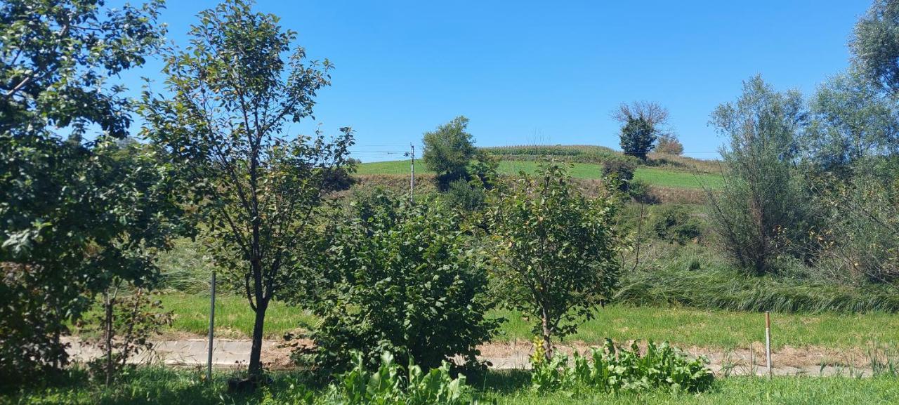 Kod Ane Daire Belavici Dış mekan fotoğraf