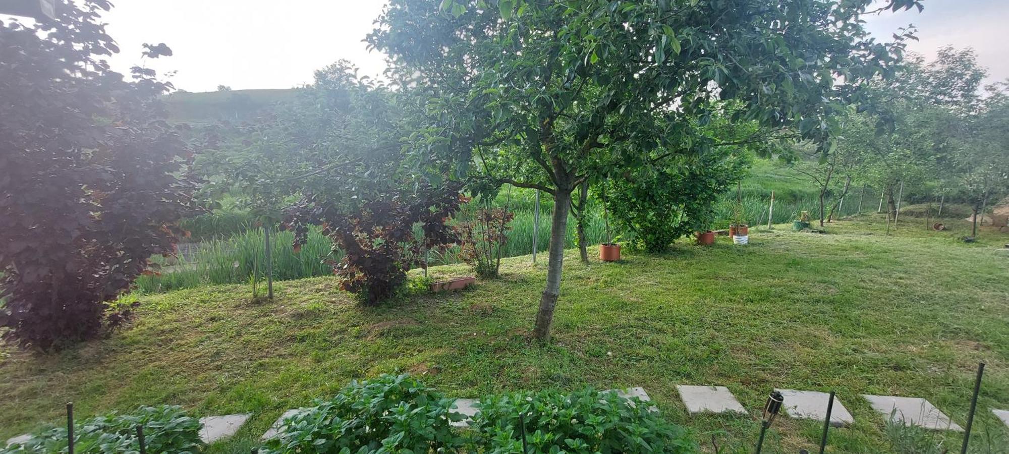 Kod Ane Daire Belavici Dış mekan fotoğraf