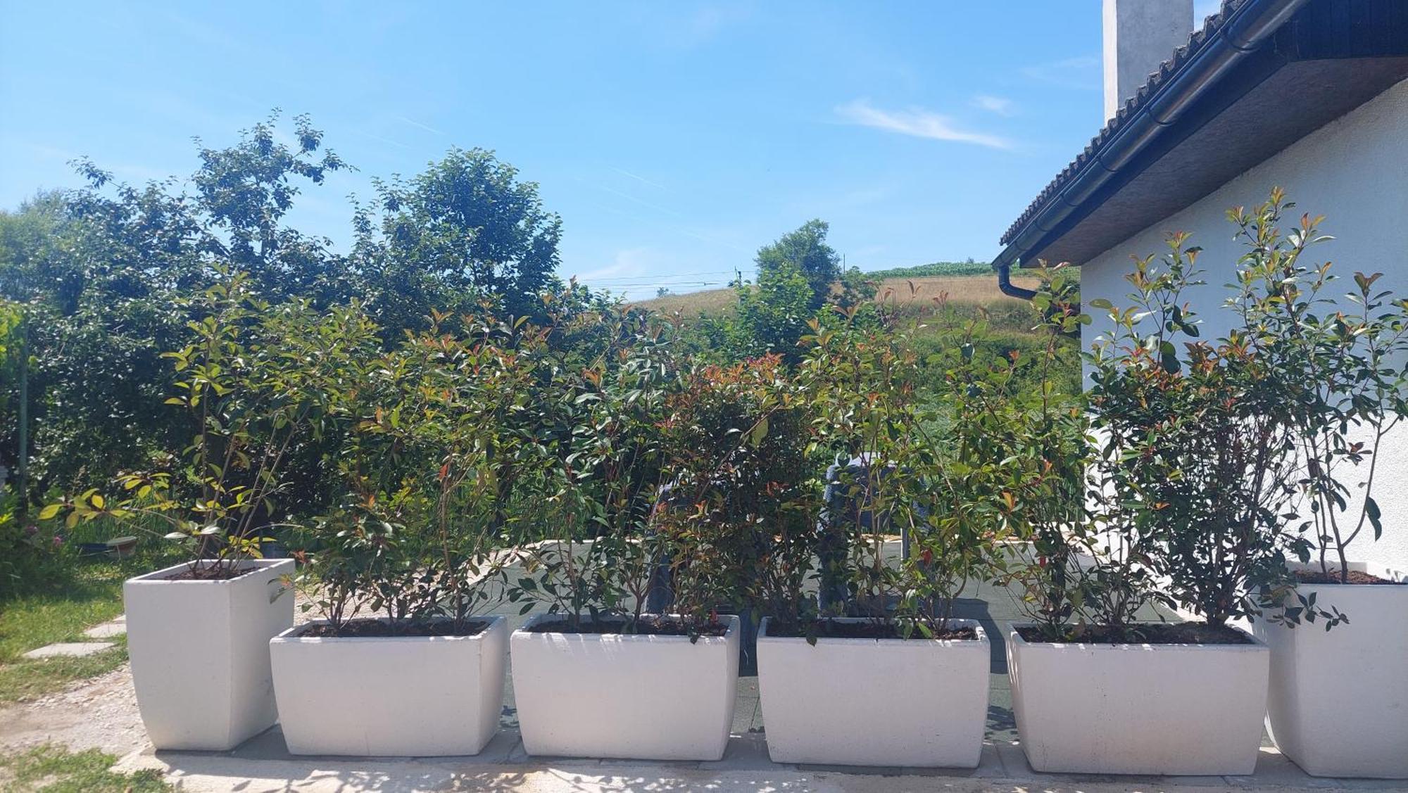 Kod Ane Daire Belavici Dış mekan fotoğraf